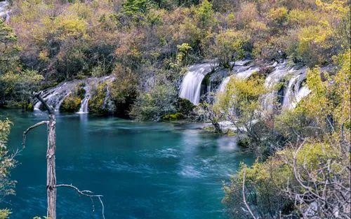 高性能可靠性